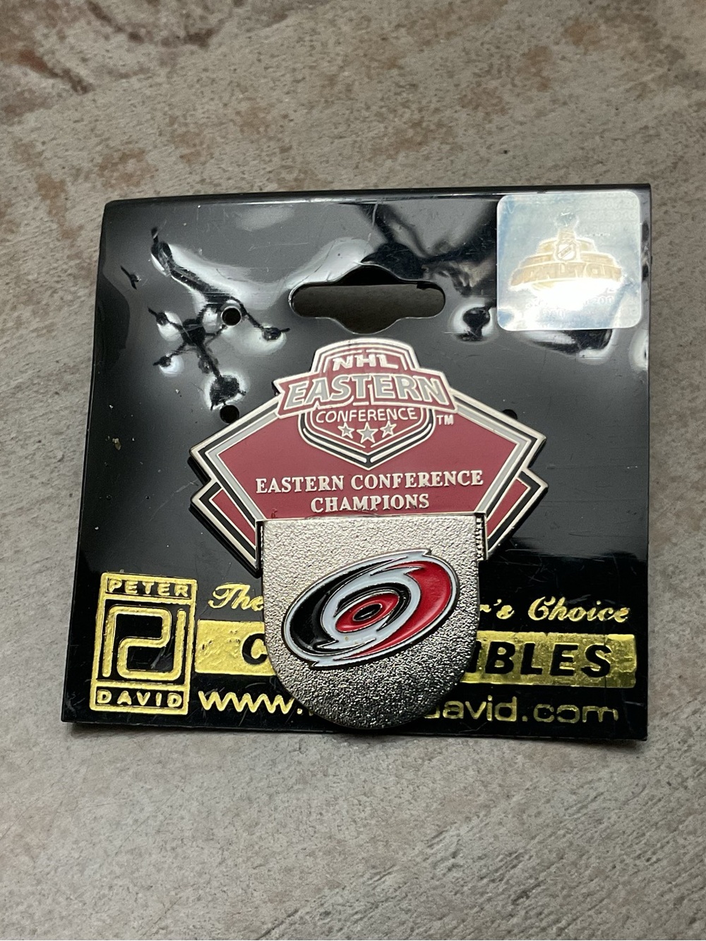 Official NHL Carolina Hurricanes Eastern Conference Champions Pin